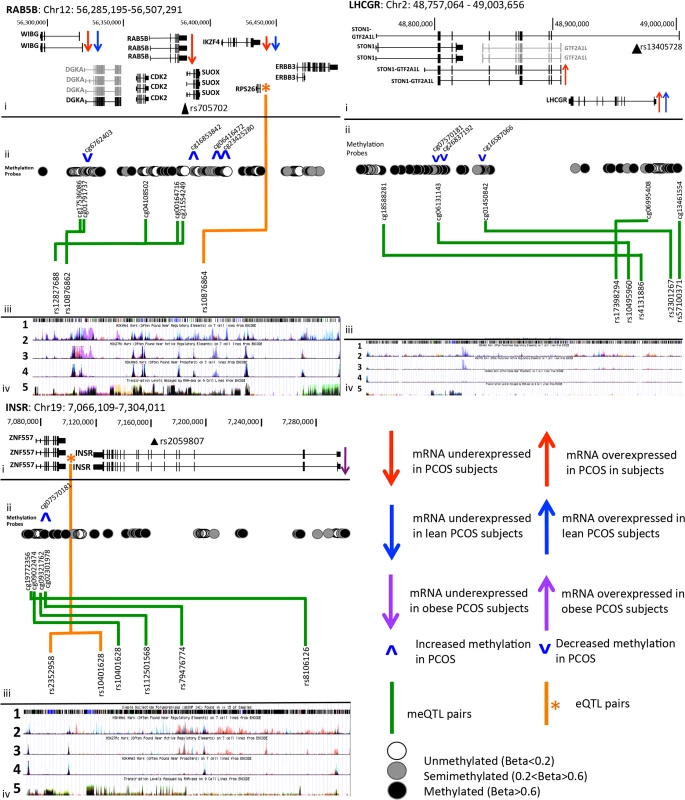 PCOS risk loci contain alterations in gene regulation and expression in PCOS adipose tissue.