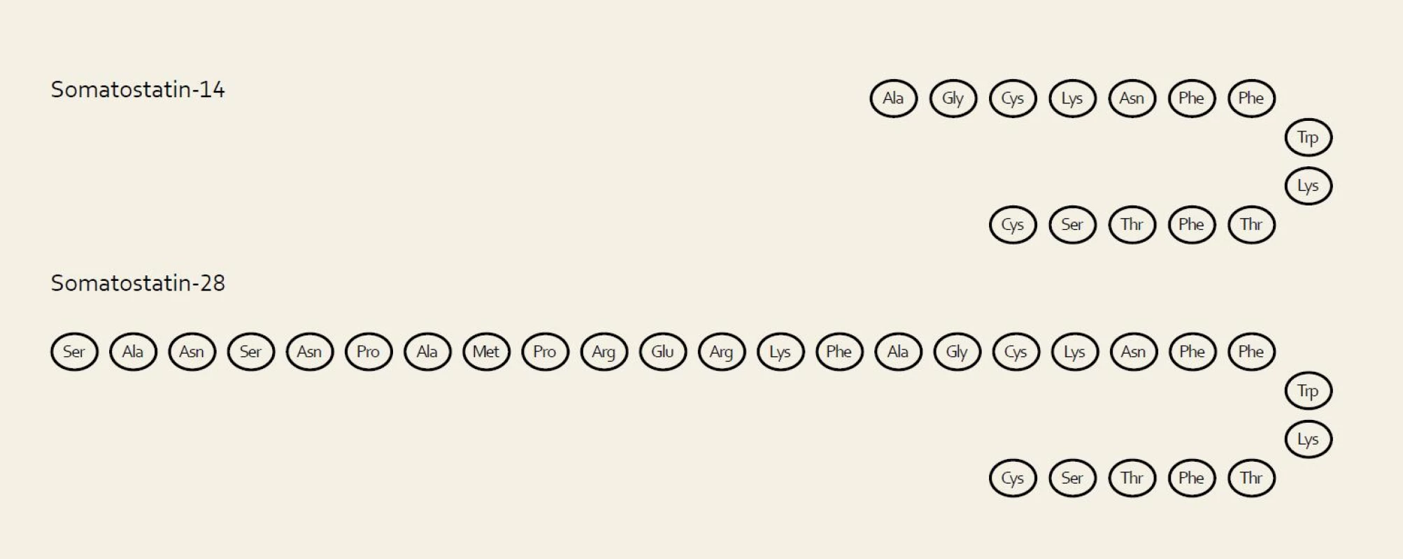 Somatostatinový receptor.
Fig. 2. Somatostatin receptor.