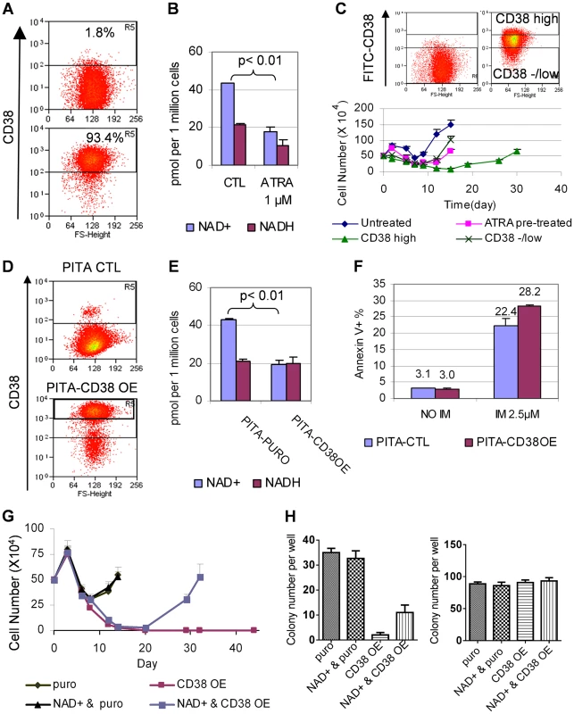 CD38 expression affected cellular NAD<sup>+</sup> levels and KCL-22 cell relapse.