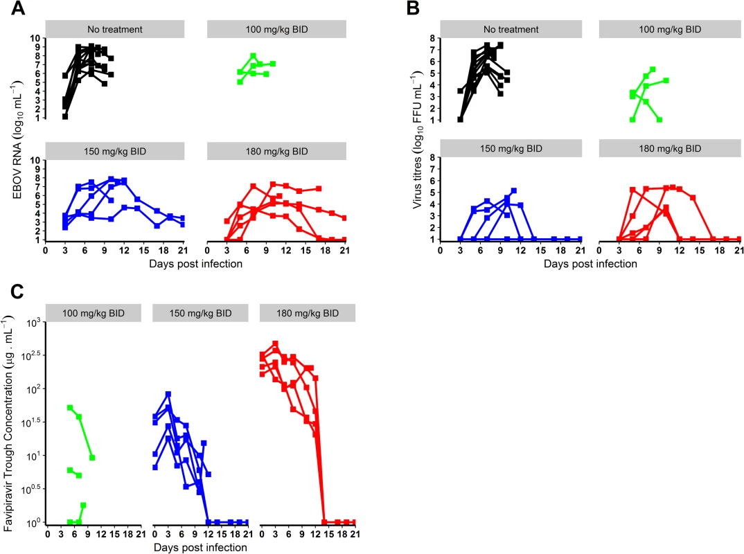 Virological and pharmacological results according to the dosing group.