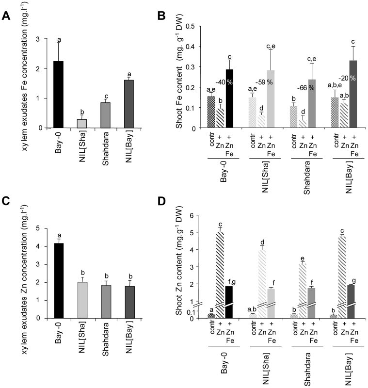 Fe and Zn homeostasis in NILs and parental lines.