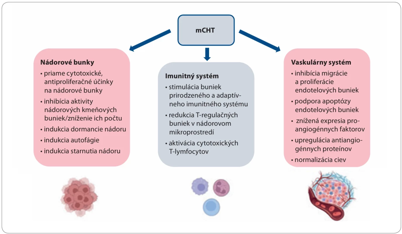 Mechanizmus protinádorového účinku metronomickej chemoterapie (upravené podľa [30]).