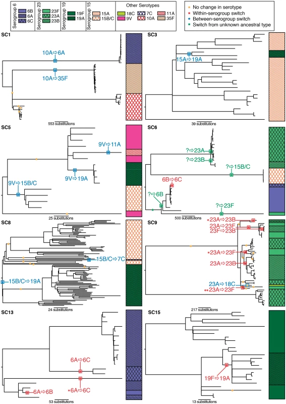 Serotype switching events within sequence clusters.