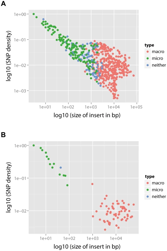 SNP density per branch versus the observed size of recombination events.