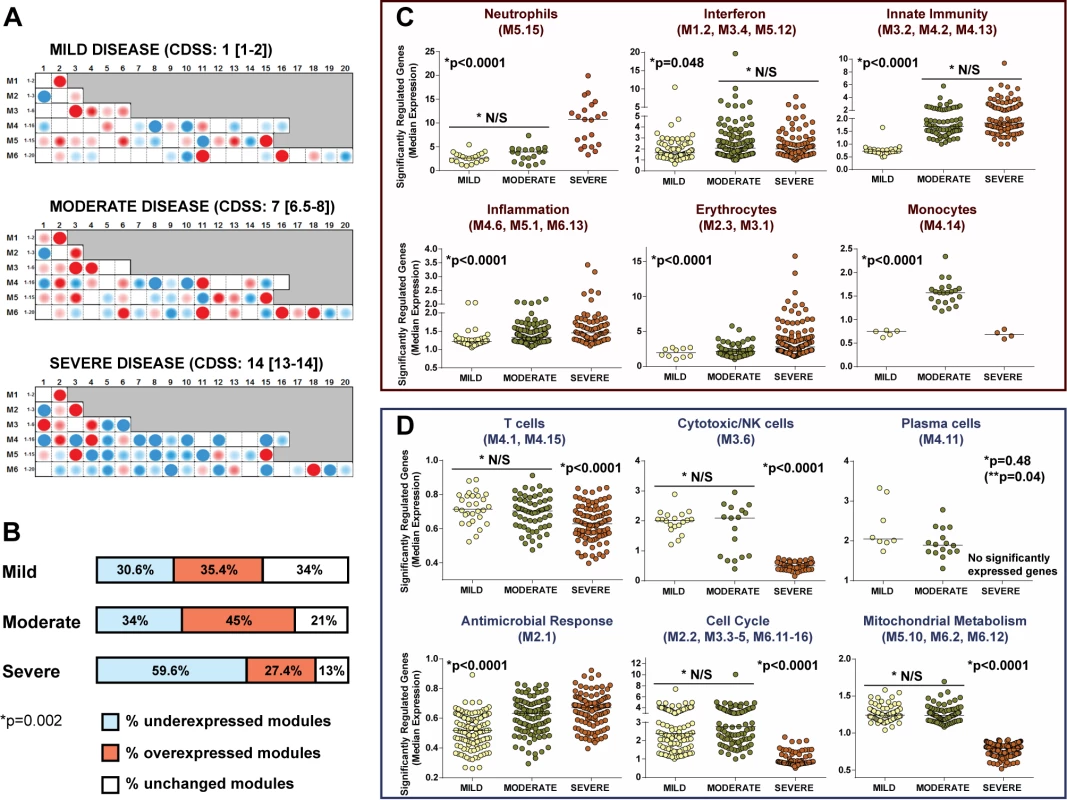 RSV disease severity is driven by greater suppression of the host immune response.