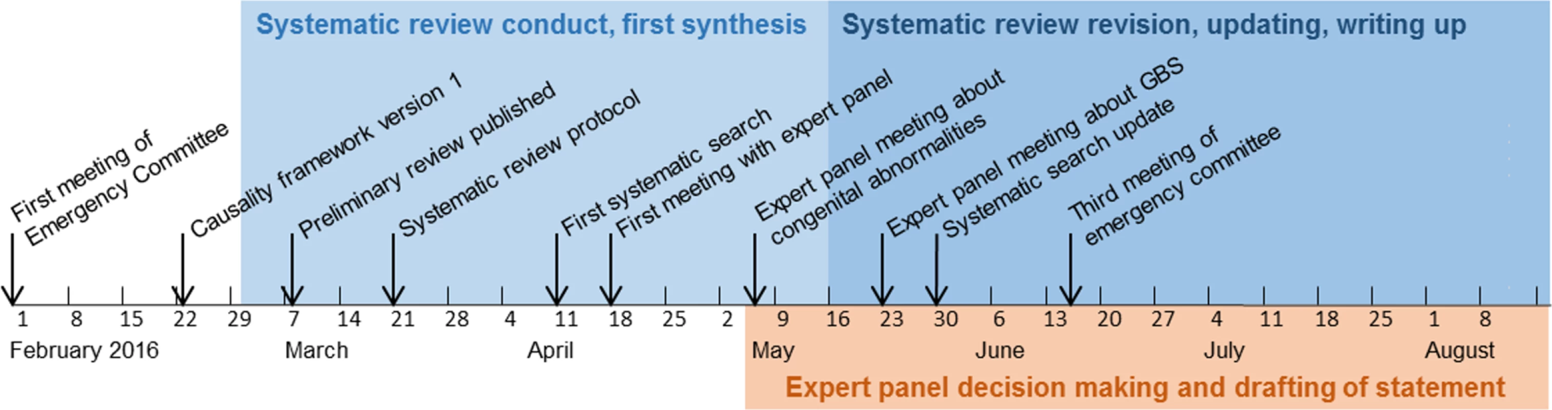 Timeline of Zika causality review, February 1 to August 2016.