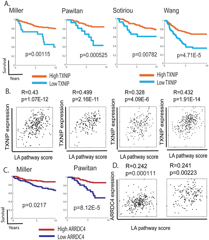 The expression of TXNIP, ARRDC4, and lactic acidosis pathways in human cancers.