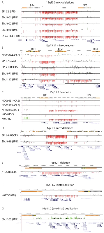 Deletions and duplications at genomic rearrangement hotspots in 20 probands.