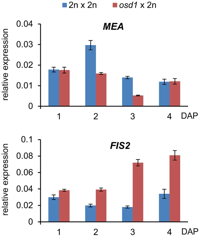 Expression Level of <i>FIS2</i> but Not of <i>MEA</i> Is Increased in <i>osd1</i>×2n Crosses.