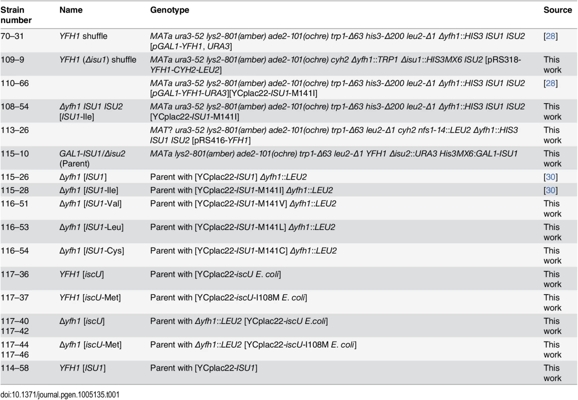 List of yeast strains.