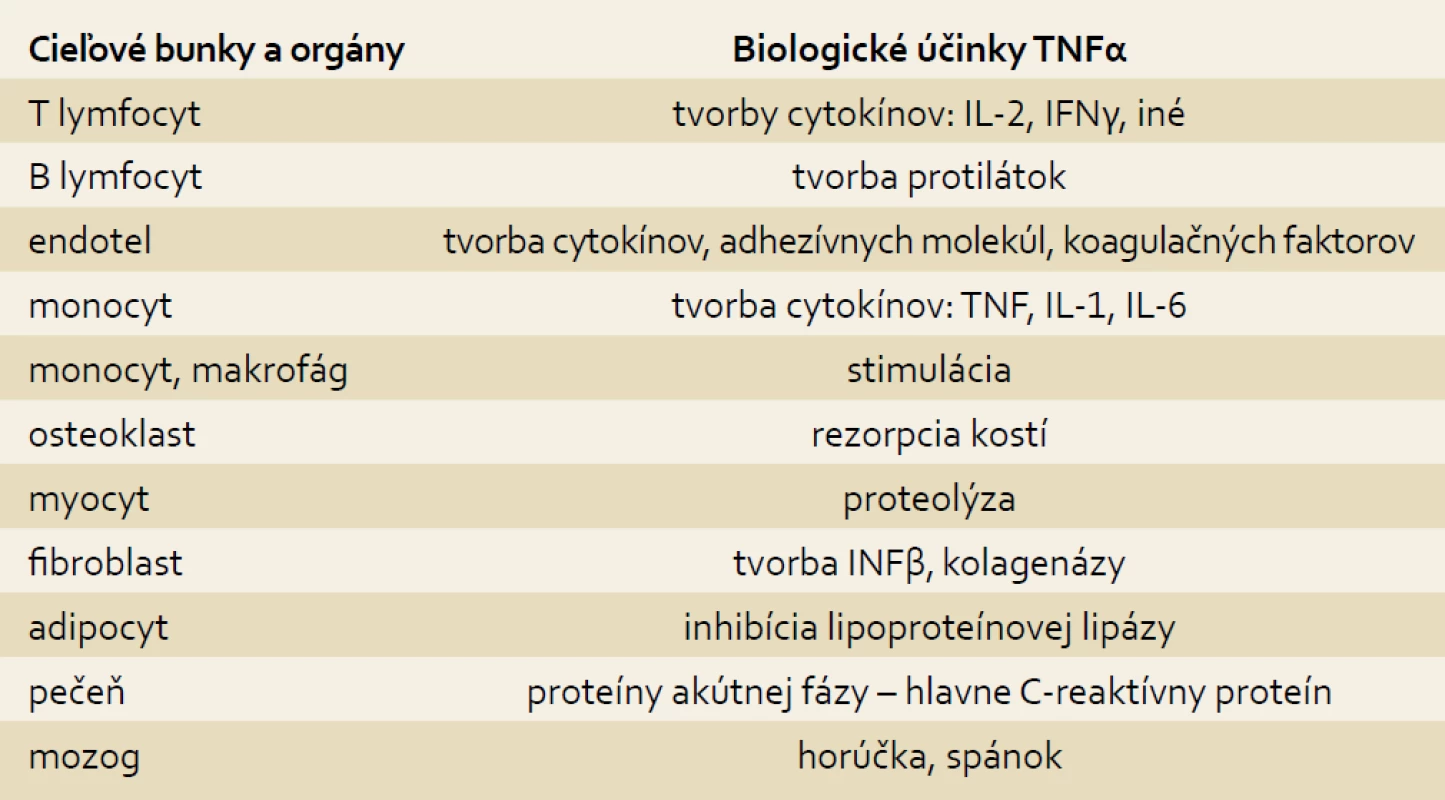 Aktivity TNFα v ľudskom organizme [8].
Tab. 2. TNFα activities in the body [8].