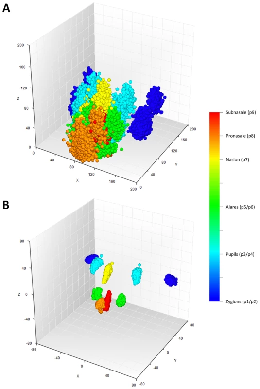 Facial landmarks from 3D MRI in all 5,388 individuals from the discovery cohorts RS1, RS2, QTIMS, SHIP, and SHIP-TREND.