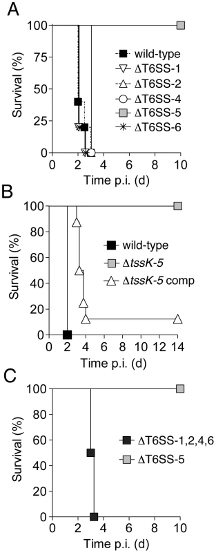 Of the five <i>B. thai</i> T6SSs, only T6SS-5 is required for virulence in a murine acute melioidosis model.