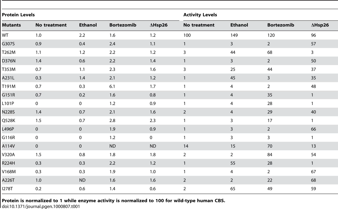 Relative levels are shown for CBS protein and activity in yeast.