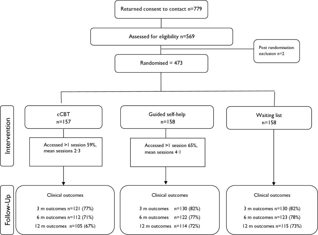 Consolidated Standards of Reporting Trials (CONSORT) flow chart illustrating recruitment.