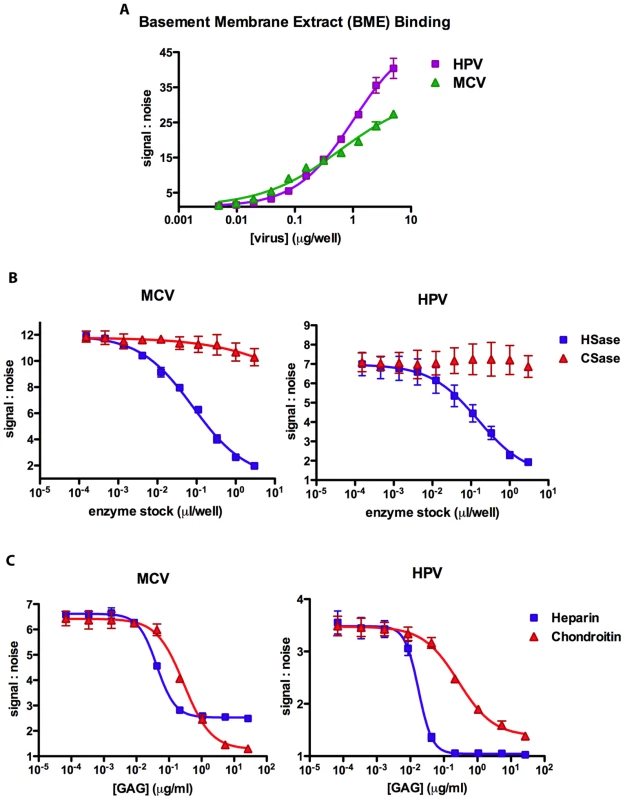 Kinetics of glycosaminoglycan binding.