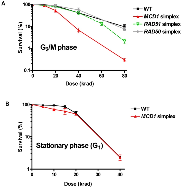 <i>MCD1</i> simplex cells are more sensitive than the WT to IR as G<sub>2</sub>/M but not G<sub>1</sub> (stationary) phase cells.