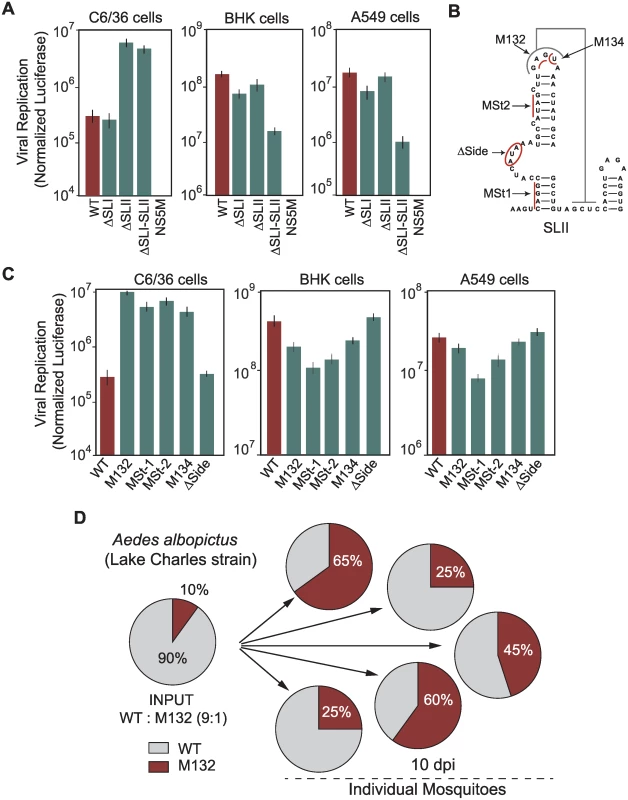 Requirements of DEN-SLI and DEN-SLII for viral replication in mosquito and human cells.