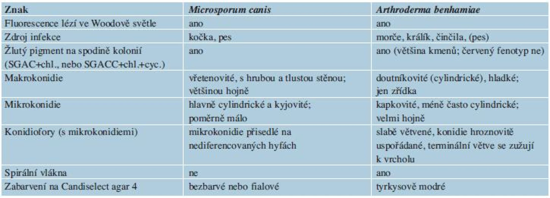 Shody a rozdíly mezi <i>Arthroderma benhamiae</i> a <i>Microsporum canis</i>