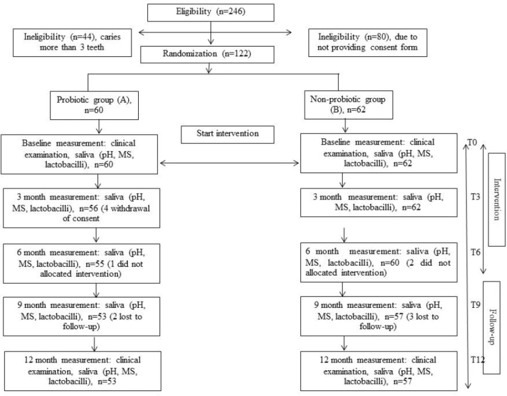 Flow-chart showing the progress of children participating at each time period of the 12-month study.