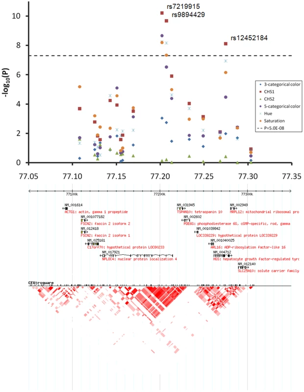 Chromosome 17q25.3 associated with quantitative eye color in the Rotterdam Study (RS123).