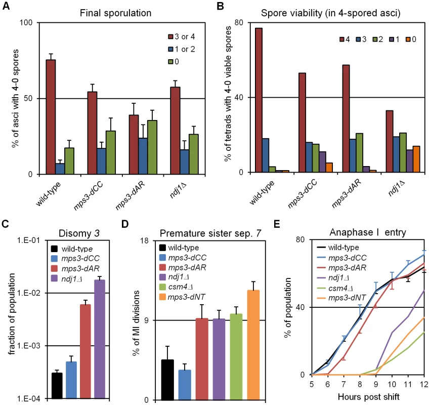 Defects in production of viable spores, proper chromosome segregation, and time to enter the first meiotic division increase with defects in RPMs.