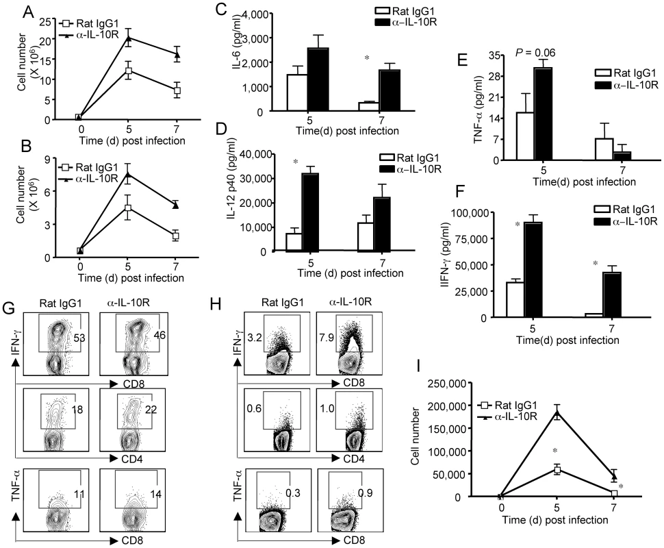 The blockade of effector T cell-derived-IL-10 leads to enhanced pulmonary innate and adaptive inflammation.