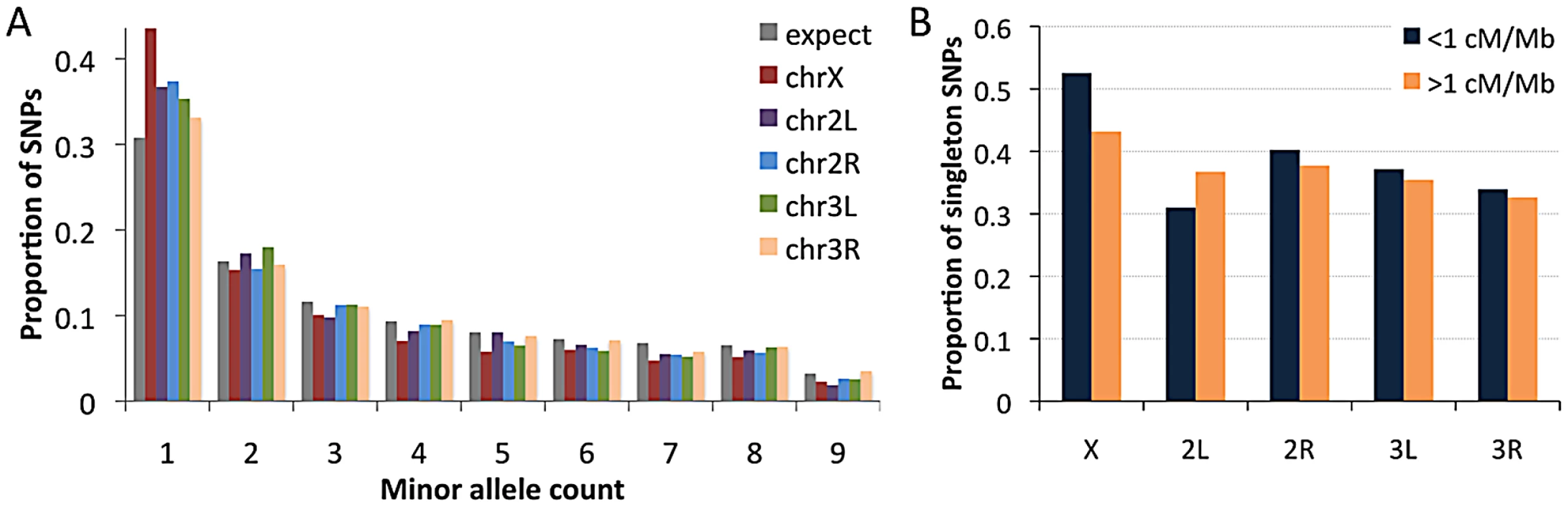 Allele frequencies for the RG sample (using a sample size of 18) at short intron sites.