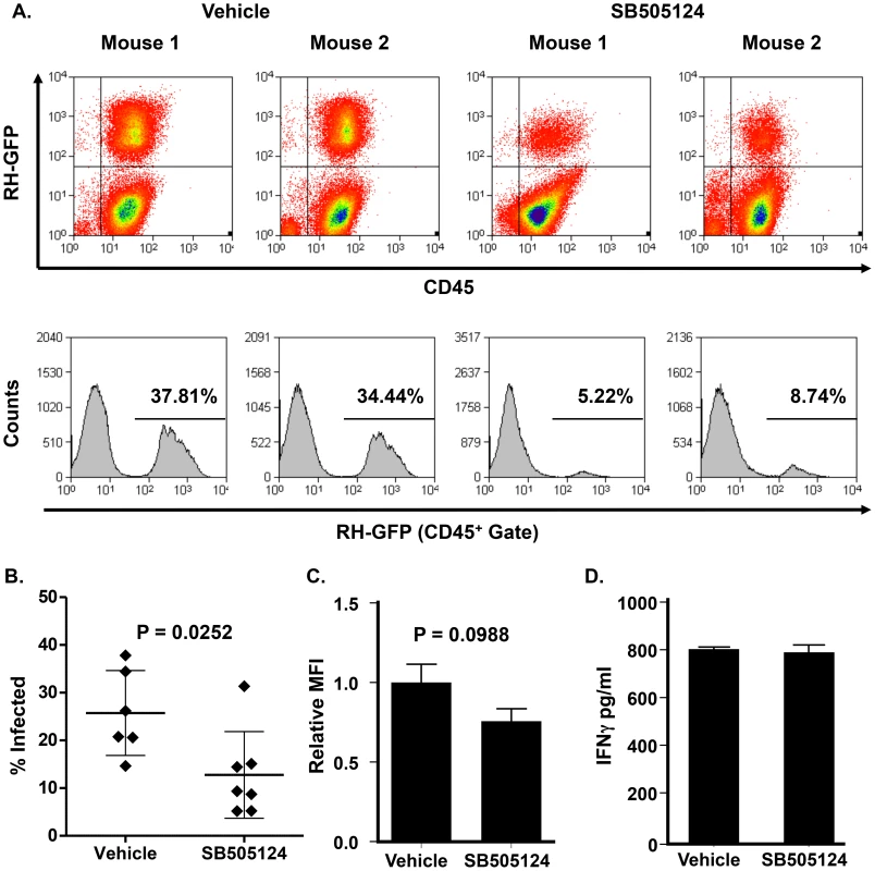 SB505124 reduces parasite growth in <i>Toxoplasma</i>-infected mice.