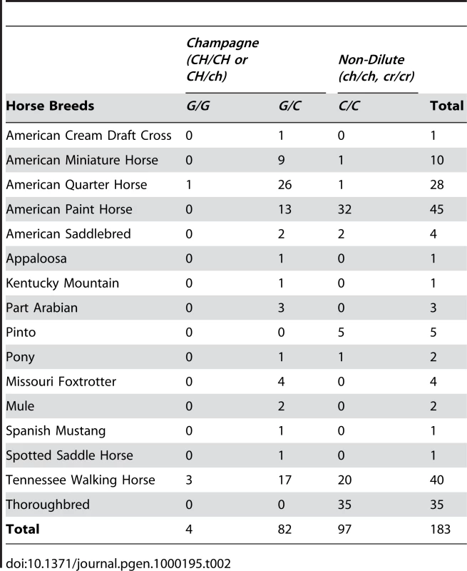 Genotyping Results for c.188(C/G) locus.