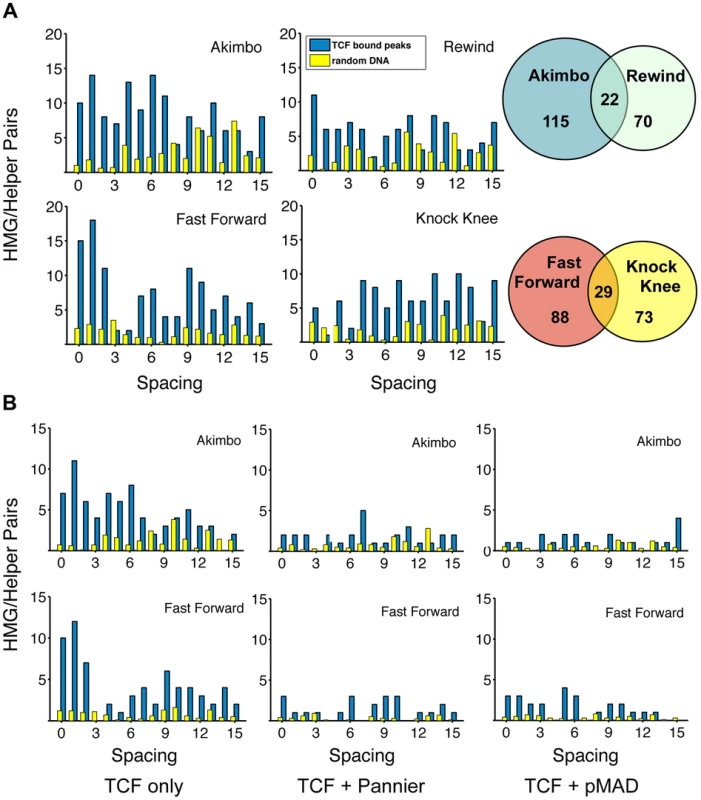 TCF/Pan-bound chromatin is enriched for HMG-Helper site pairs.