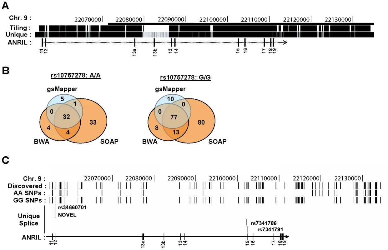 Deep sequencing of 9p21 in pools of rs10757278 homozygotes.