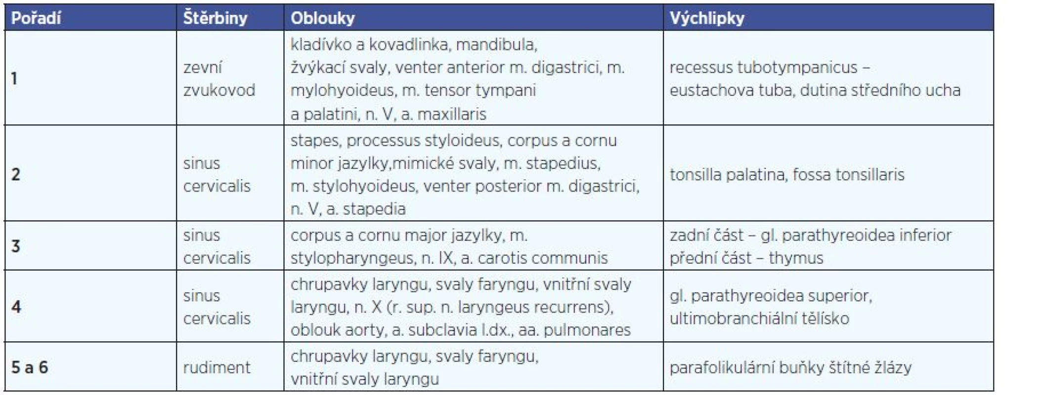 Deriváty branchiálního systému.