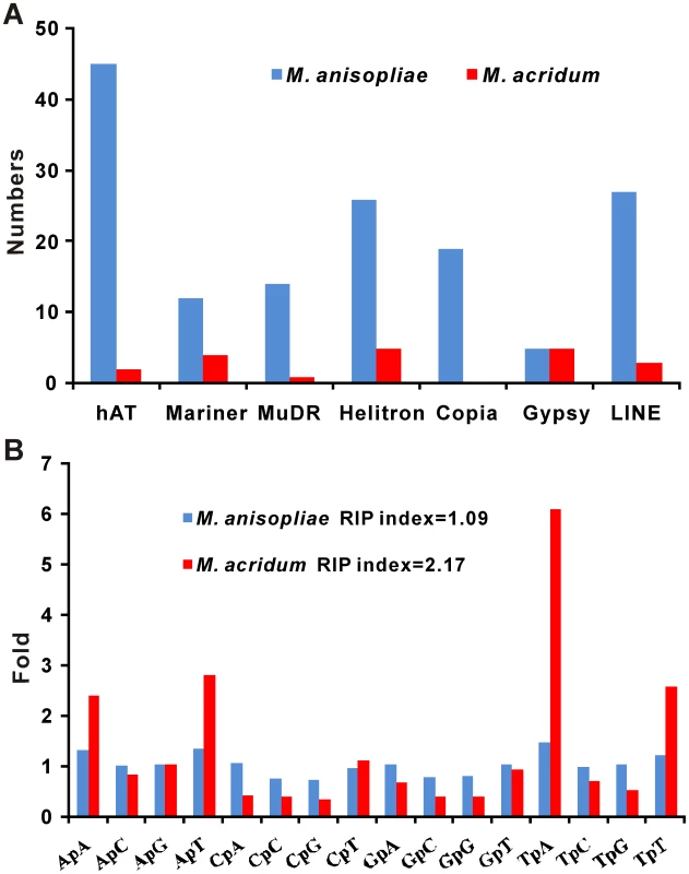 Families of transposase genes and estimation of RIP.
