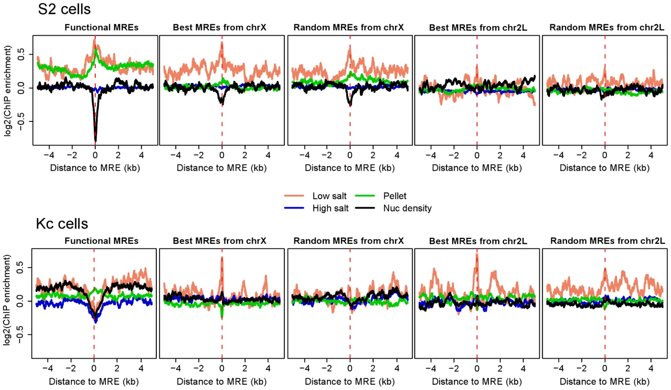 Increased lability of nucleosomes at chromatin entry sites correlates with MSL binding.
