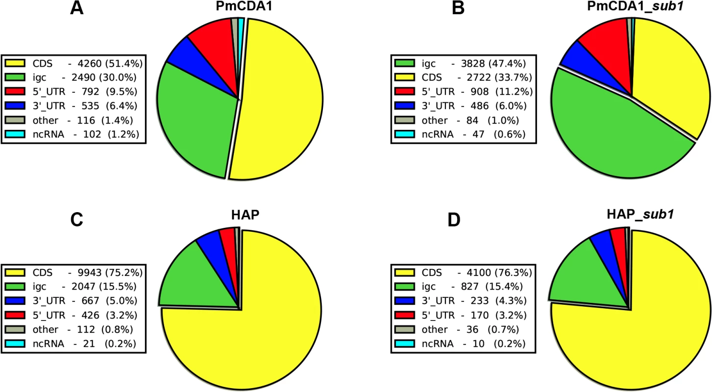 Deaminases induce more mutations in intergenic and 5’-UTRs than in protein-coding regions.