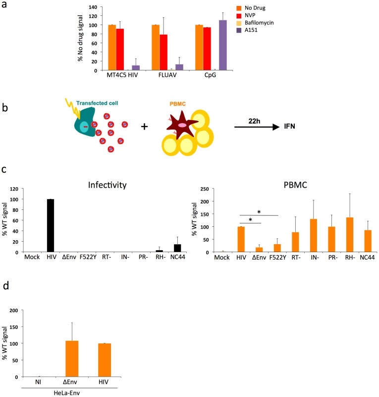 Pathways of recognition of HIV-infected cells by hematopoïetic cells.