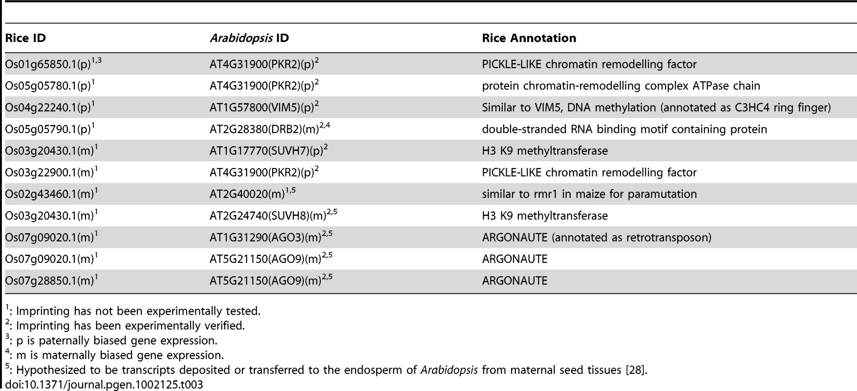 Candidate imprinted gene homologs in rice and <i>Arabidopsis</i> may have roles in epigenetic regulation.<em class="ref">1</em><sup>,</sup><em class="ref">2</em>