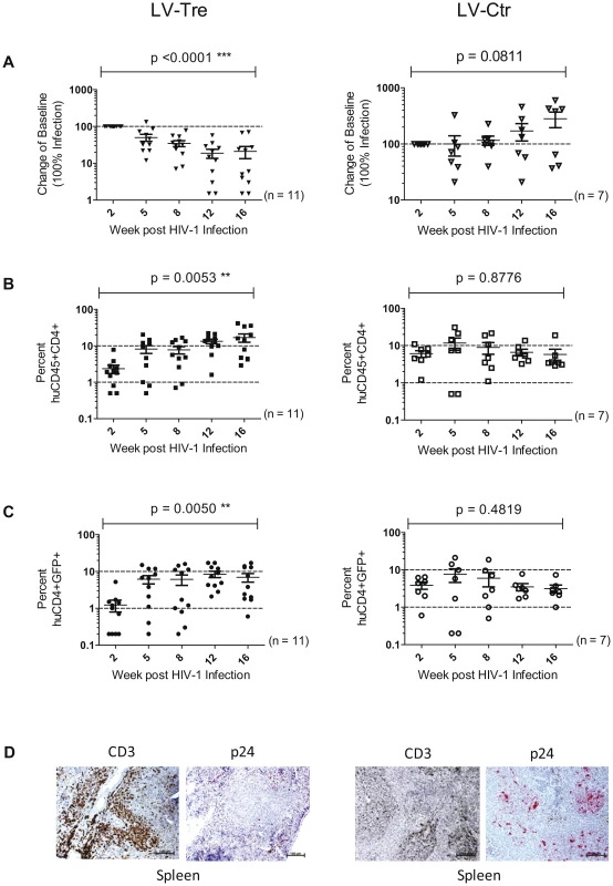 Analysis of the HIV-1 infected mice engrafted with LV-transduced (LV-Tre or LV-Ctr) unselected human CD4<sup>+</sup> T cell pools.