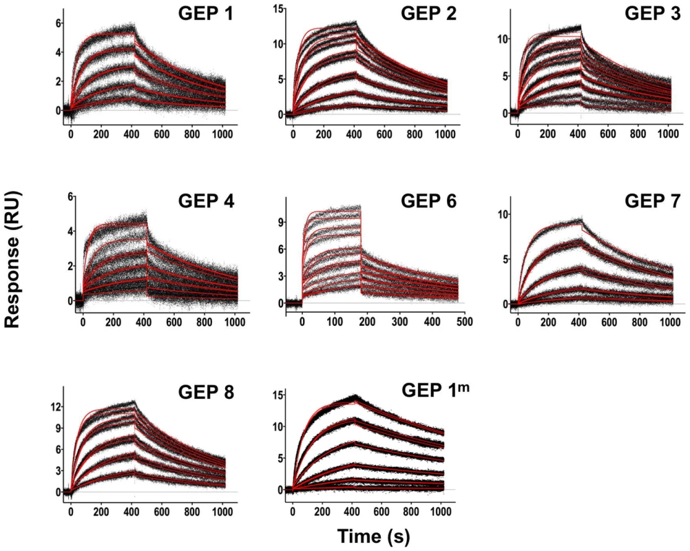 SPR sensorgrams of the interactions between ES T117 and the indicated GEPs are shown.