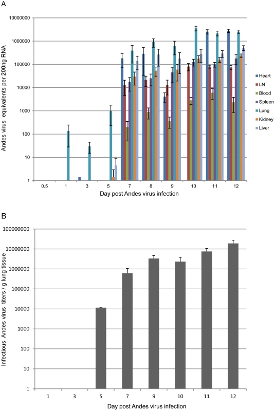 Andes virus organ titers.