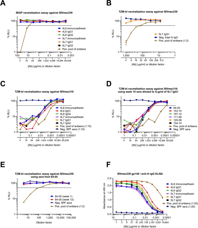 Neutralization of SIV and binding of purified proteins <i>in vitro</i>.