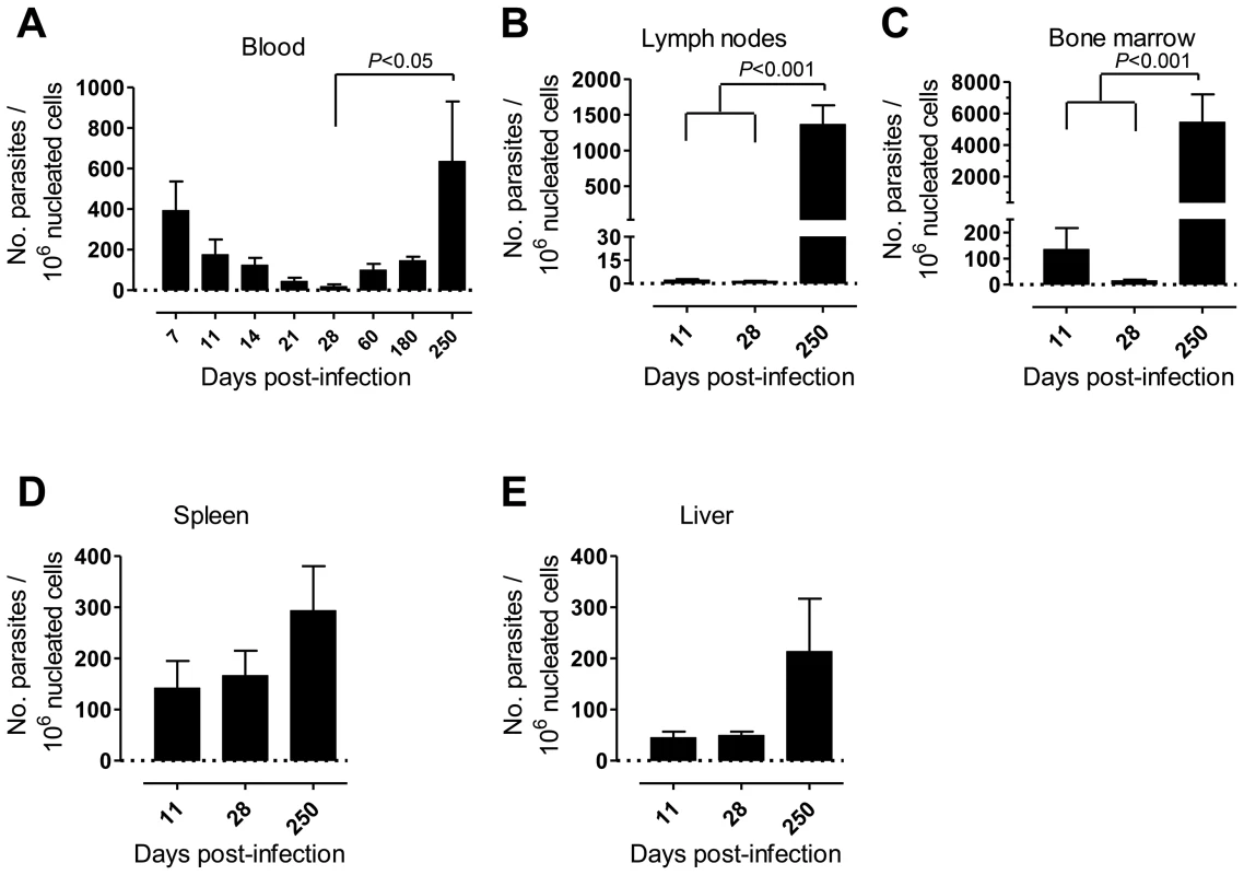 Kinetics of parasite load in <i>L. infantum</i>-infected rhesus macaques.