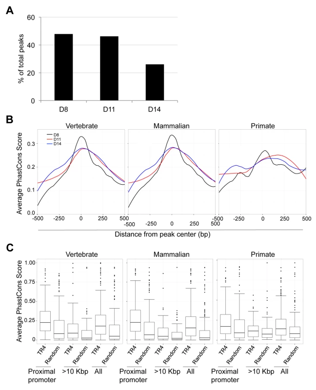 Sequence conservation among TR4 peaks.