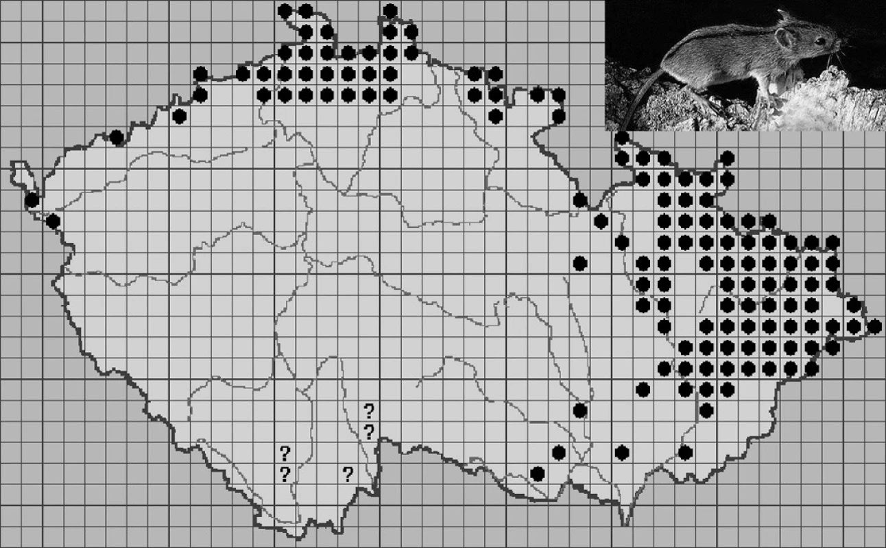 Mapa rozšíření Apodemus agrarius v ČR. Anděra, M., Biolib, 2008.
● - stálý výskyt
? - problematické/pochybné/nedoložené údaje
Fig. 2. Map of spread of Apodemus agrarius in CR. Andera M., Biolib, 2008.
● – permanent occurrence
? – problematic/ doubtful/not-confirmed data