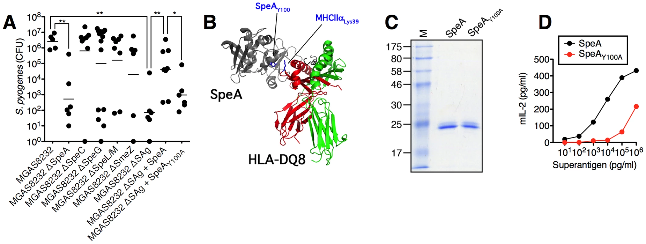 Superantigens are critical for <i>S. pyogenes</i> nasopharyngeal infection in mice.
