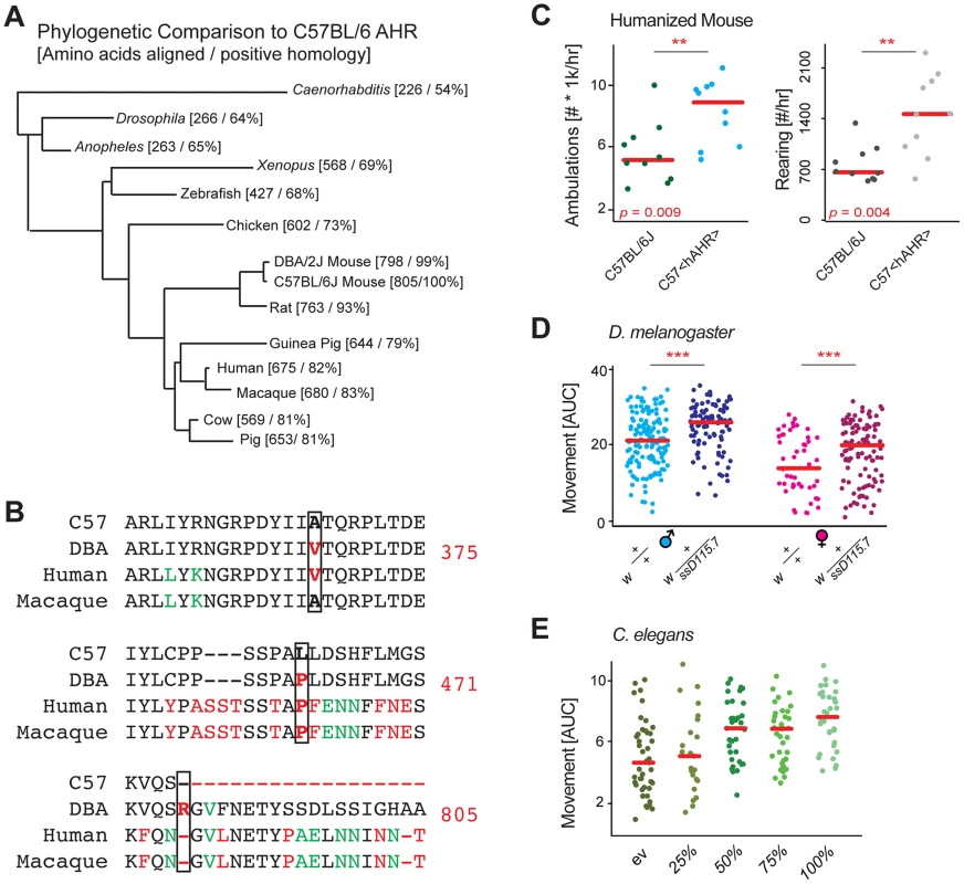 Evolutionary analysis links <i>Ahr</i> to movement.