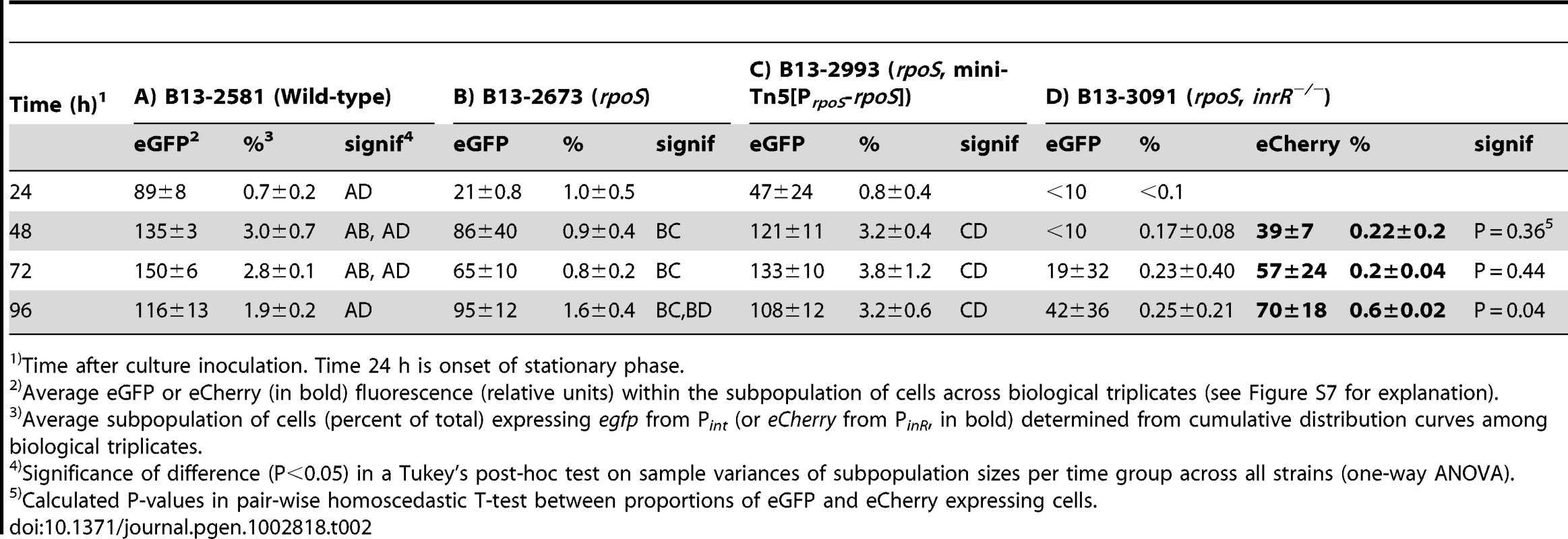 Effect of <i>rpoS</i> inactivation on reporter fluorescence from a single-copy P<i><sub>int</sub></i>-<i>egfp</i>; P<i><sub>inR</sub></i>-<i>eCherry</i> fusion in <i>P. knackmussii</i> strain B13 and derivatives.
