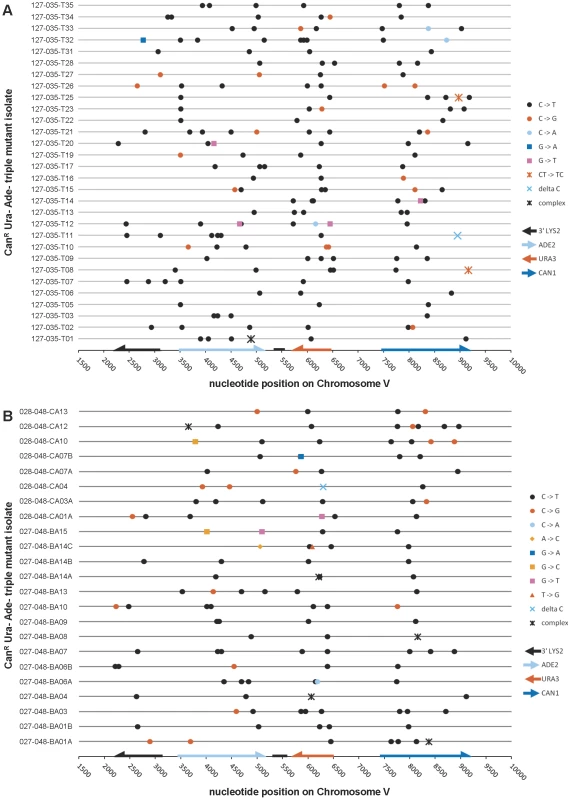 The mutation spectra of triple loss-of-function isolates induced by 1% sodium bisulfite.