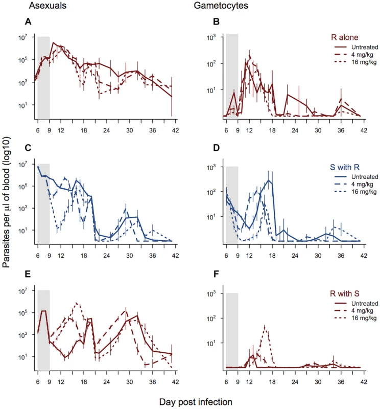 Dynamics of asexual and transmission stage parasites in single and mixed infections under three treatment regimes.